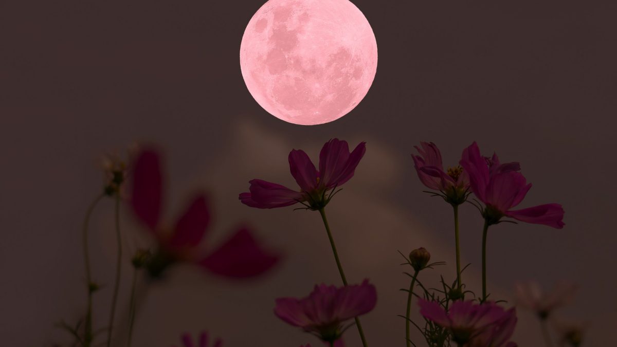 Horoskop für Freitag, den 24. April 2026 – Heute erkennst Du, dass Du nicht mehr zurückwillst