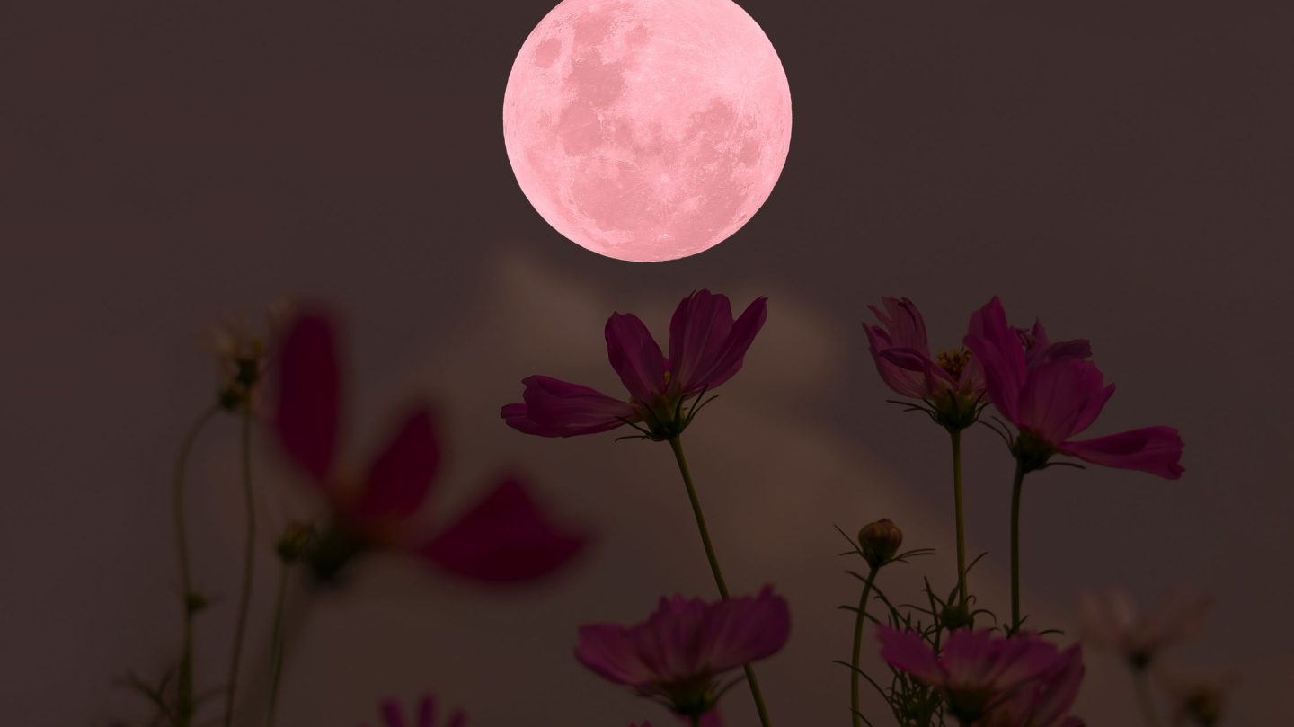 Horoskop für Freitag, den 24. April 2026 – Heute erkennst Du, dass Du nicht mehr zurückwillst