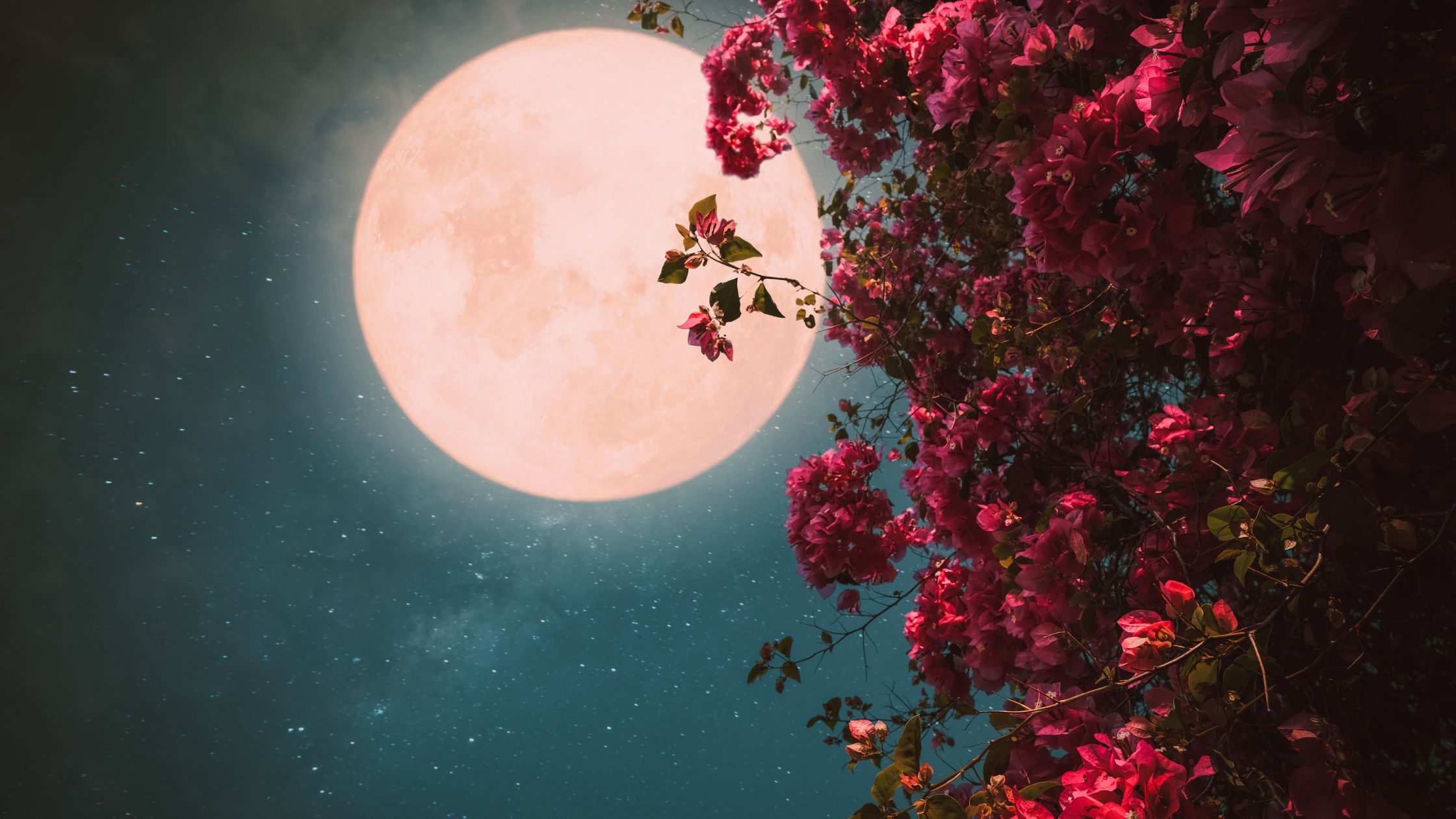 Monatshoroskop Mai 2026: Eine Phase endet – etwas Neues beginnt