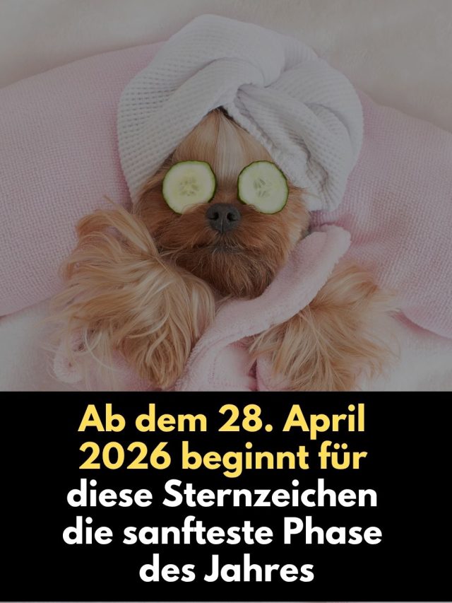 Ab dem 28. April 2026 beginnt für einige Sternzeichen eine sanfte, heilende Phase voller Leichtigkeit, Klarheit und emotionaler Tiefe. Erfahre, ob dein Sternzeichen dabei ist.