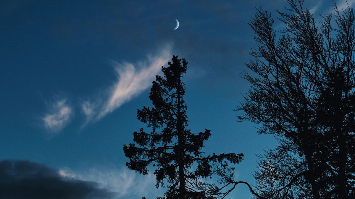 Horoskop Freitag 22. Mai 2026: Die Zwillinge-Saison bringt neue Energie, Klarheit und echte Authentizität. 🌙 Mit dem Mond im Löwen spüren viele Sternzeichen heute mehr Selbstvertrauen, Freiheit und emotionale Stärke. Erfahre jetzt dein Tageshoroskop für Widder, Stier, Zwillinge, Krebs, Löwe & alle Sternzeichen – inklusive Liebe, Energie, Gefühle, Astrologie 2026, Mondenergie, Sternzeichen Trends und spiritueller Botschaften. #Horoskop #Sternzeichen #Astrologie #ZwillingeSaison #Tageshoroskop