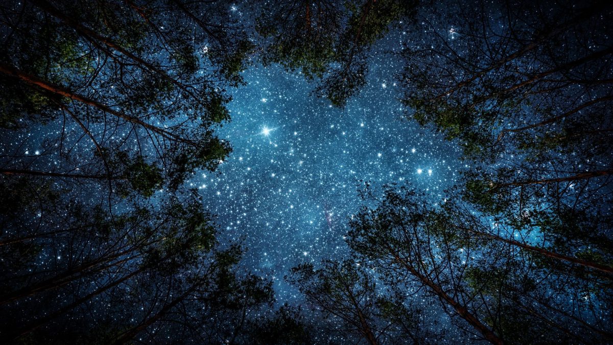 Dein Horoskop für Montag, den 11. Mai 2026