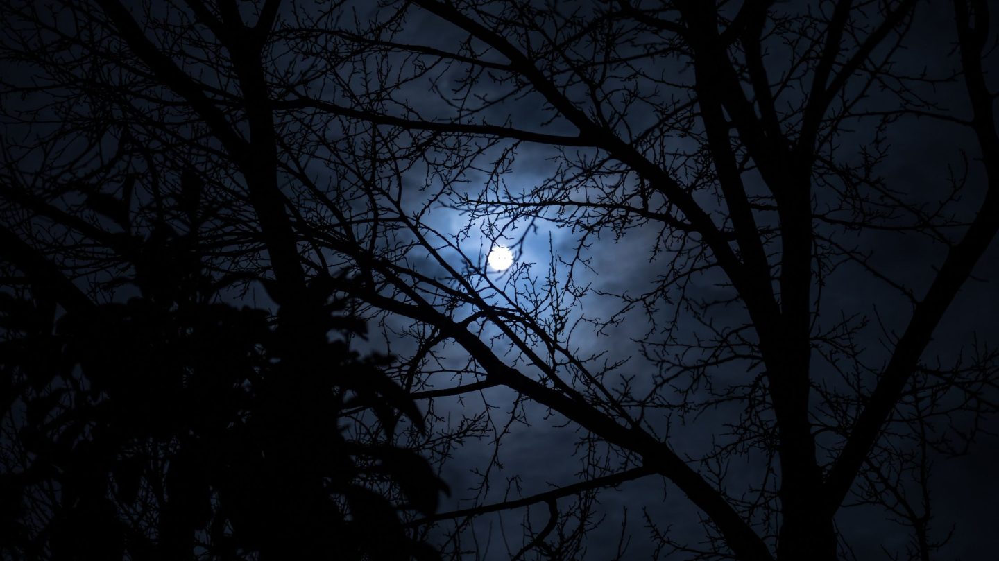 Dein Horoskop für Samstag, den 16. Mai 2026