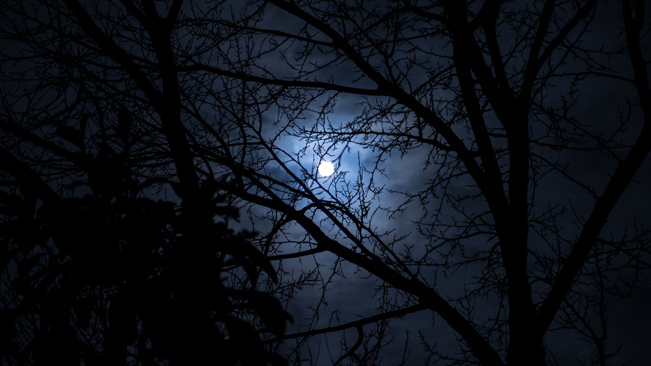 Dein Horoskop für Samstag, den 16. Mai 2026