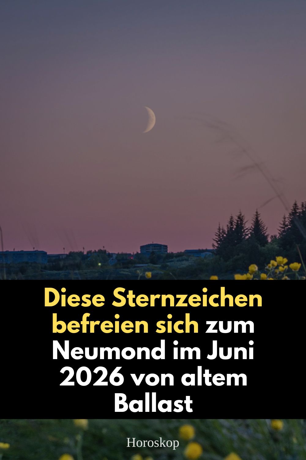 Neumond Juni 2026, Neumond 15. Juni 2026, Sternzeichen Juni 2026, Horoskop Neumond Zwillinge, astrologische Vorhersage Juni 2026, Sternzeichen befreien sich, alter Ballast loslassen, Neumond Zwillinge Bedeutung, Löwe Horoskop Juni 2026, Skorpion Horoskop Juni 2026, Steinbock Horoskop Juni 2026, Astrologie Juni 2026, Neumond Horoskop, kosmische Energie Juni 2026, Sternzeichen Veränderung 2026, Horoskop Neuanfang Juni, astrologische Trends 2026, Zwillinge Neumond Wirkung, spirituelle Befreiung Sternzeichen, deno licina Horoskop