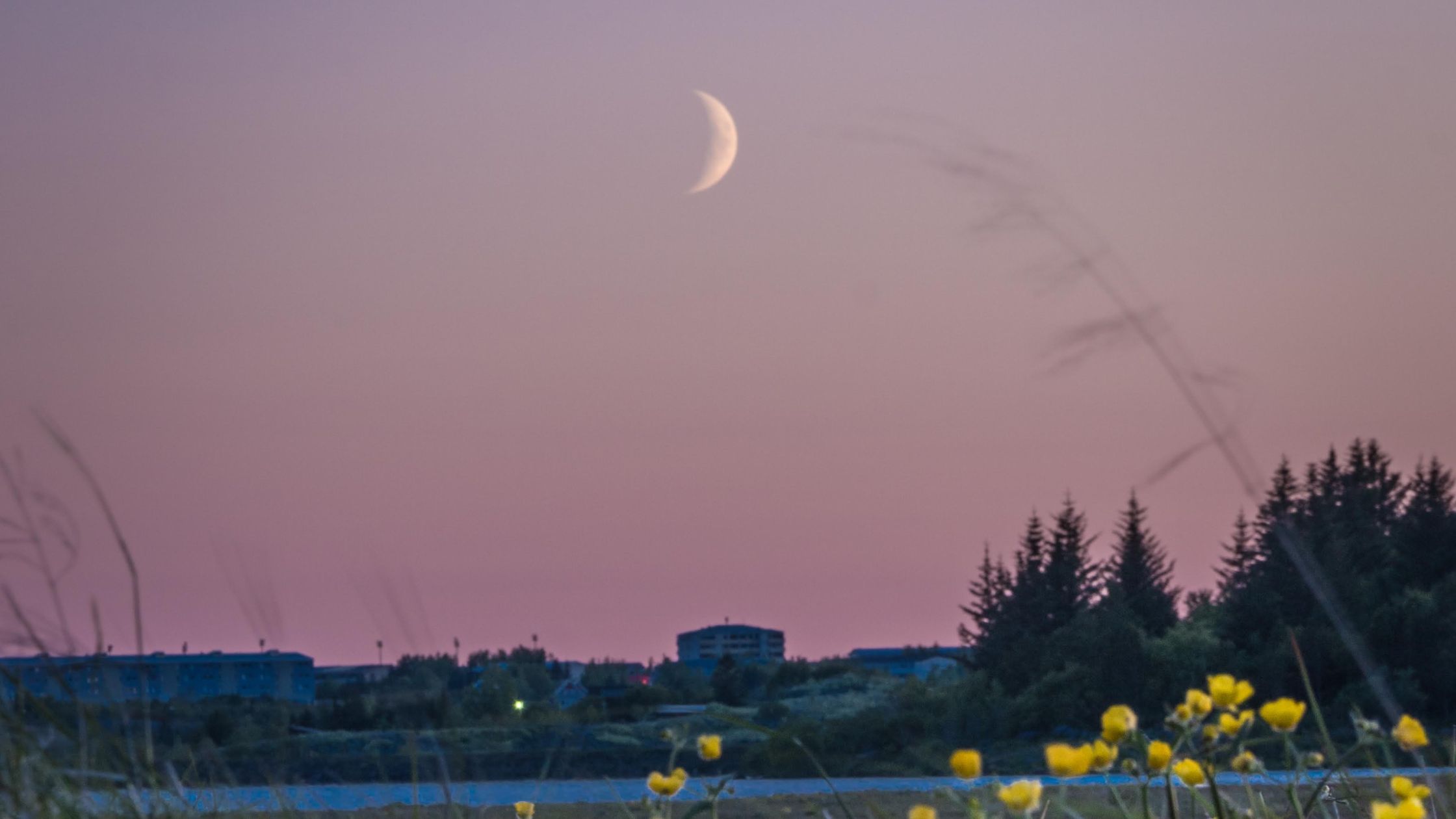 Diese Sternzeichen befreien sich zum Neumond im Juni 2026 von altem Ballast