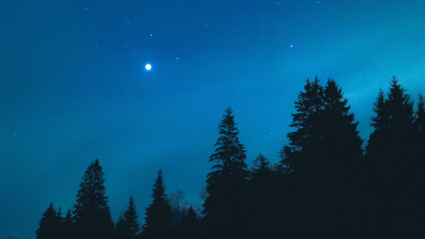 Dein Horoskop für Freitag, den 3. Juli 2026