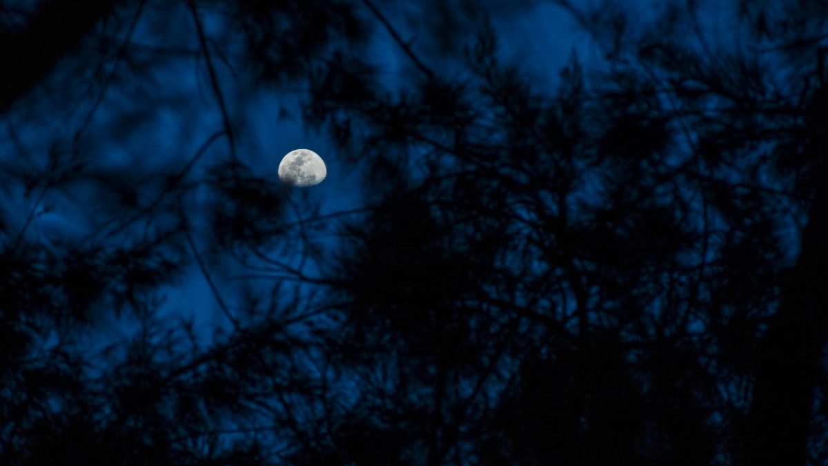 Neumond im Juli 2026: Für diese 3 Sternzeichen endet endlich eine schwierige Phase! ✨ Erfahre, warum Löwe, Skorpion und Stier jetzt von den kraftvollen Energien des Neumonds im Krebs profitieren. Astrologie, Horoskop Juli 2026, Neuanfang, Loslassen, Heilung, Glück, Transformation und kosmische Botschaften – entdecke, welche Chancen, Veränderungen und positiven Wendungen der Neumond am 14. Juli 2026 für Dein Sternzeichen bereithält.