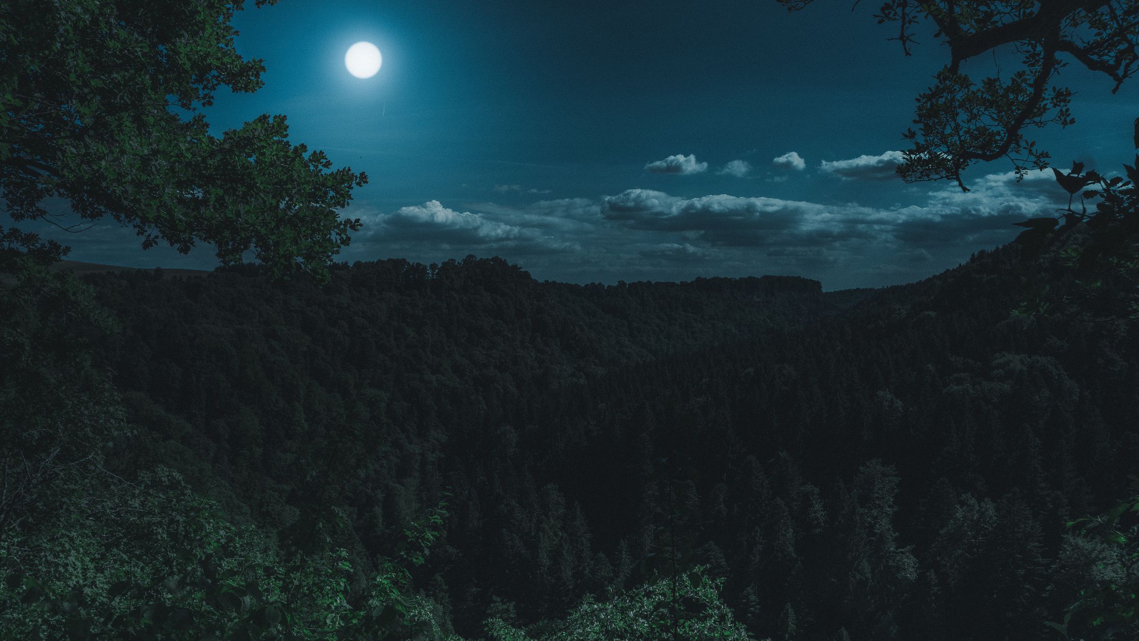 Dein Horoskop für Mittwoch, den 8. Juli 2026
