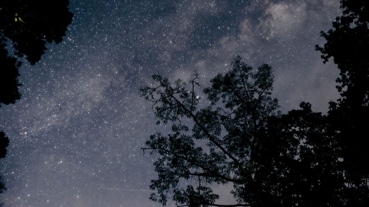 Dein Horoskop für Montag, den 13. Juli 2026