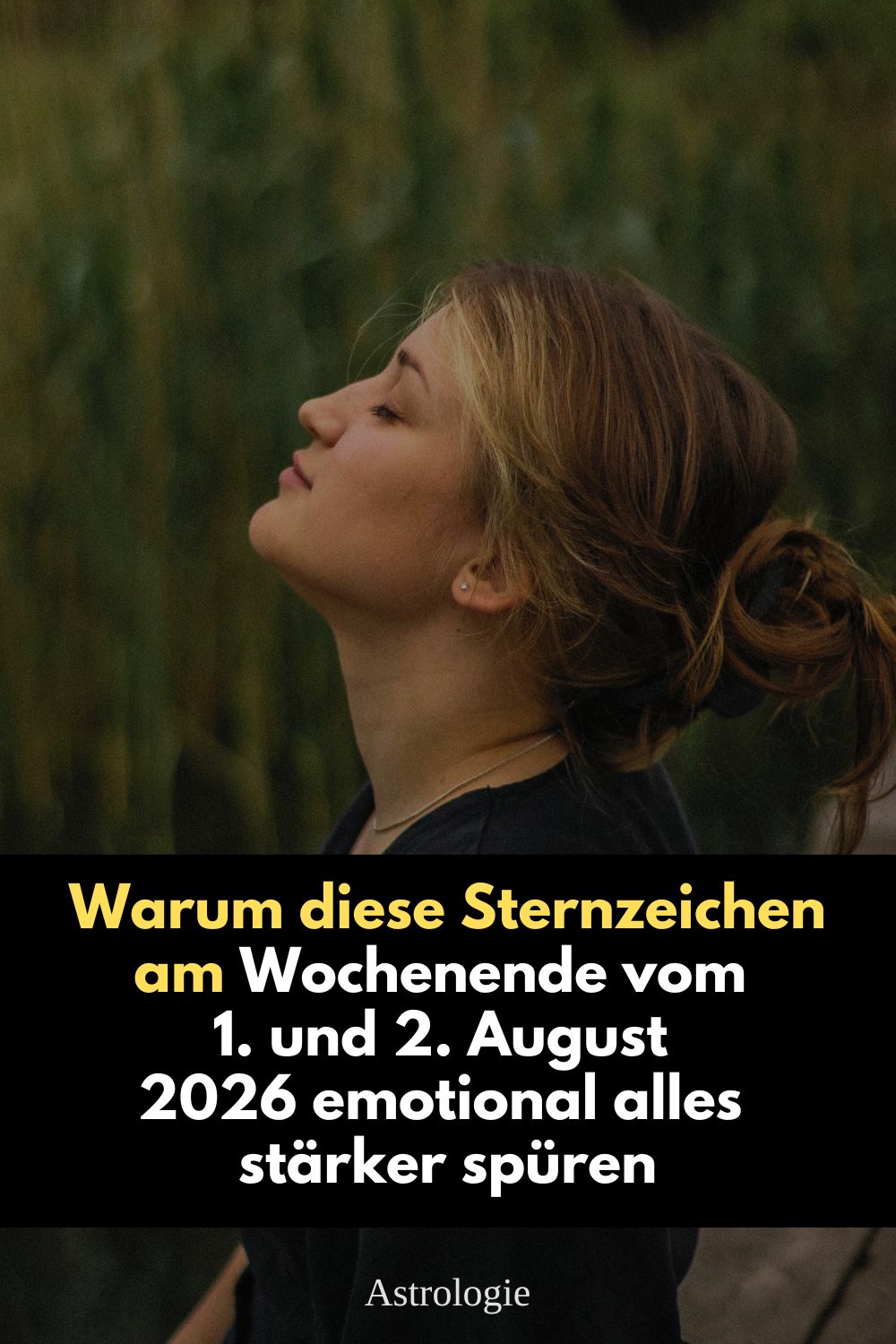Sternzeichen August 2026, Horoskop Wochenende 1. August 2026, Horoskop Wochenende 2. August 2026, Sternzeichen Liebe, Wochenendhoroskop August 2026, astrologische Vorschau August 2026, Stier Horoskop August 2026, Waage Horoskop August 2026, Fische Horoskop August 2026, Venus im Löwen, Jupiter im Löwen, Sonne im Löwen, Mars in den Zwillingen, Pluto rückläufig Wassermann, Uranus Zwillinge, Saturn Widder, Neptun Widder, Beziehungen Sternzeichen, Liebe und Astrologie, emotionale Sternzeichen, Wochenendenergie August 2026, Horoskop Liebe 2026, Astrologie August 2026, Sternzeichen Beziehungen, kosmische Energien August 2026