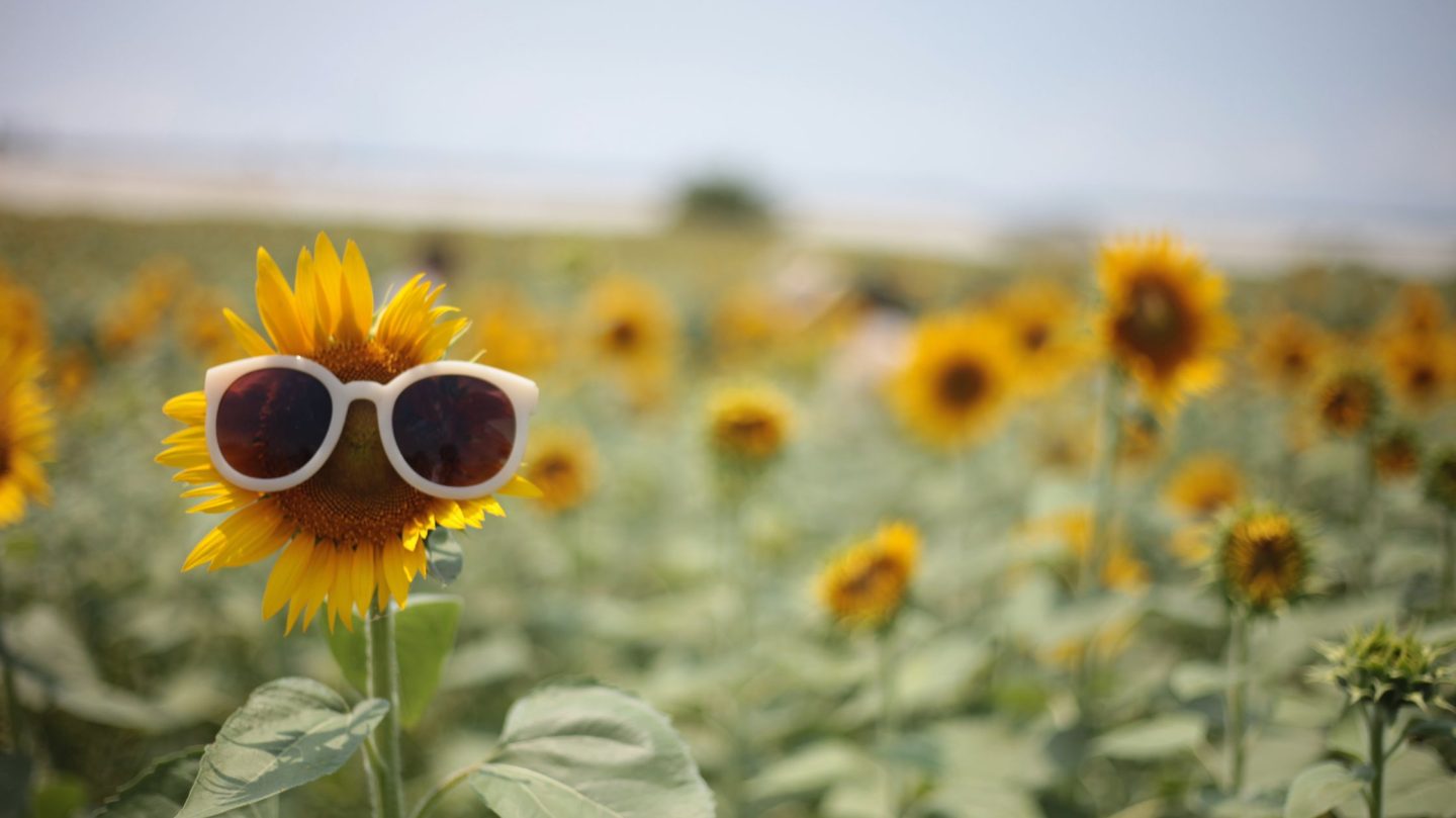 Diese Sternzeichen erleben in der Woche vom 13. bis 19. Juli 2026 die beste Woche des Sommers