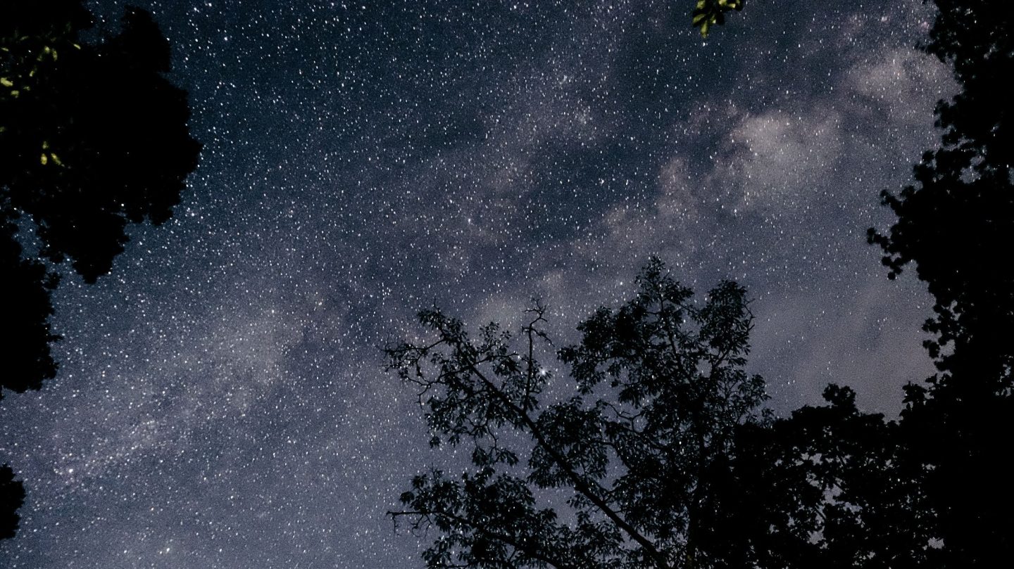 Dein Horoskop für Dienstag, den 18. August 2026