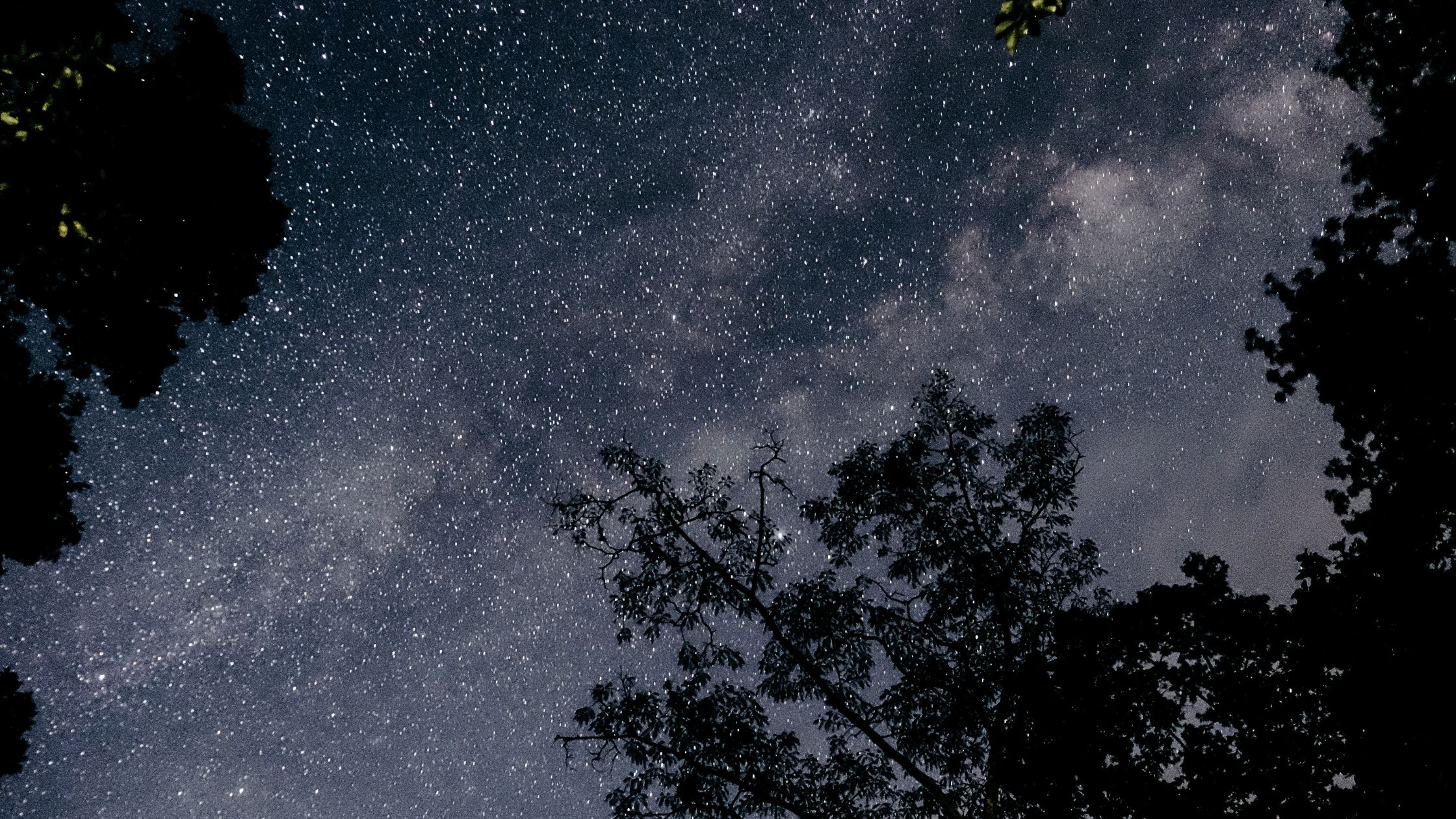 Dein Horoskop für Dienstag, den 18. August 2026