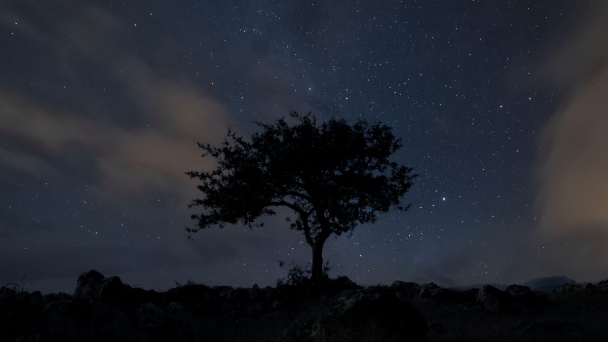Dein Horoskop für Samstag, den 29. August 2026