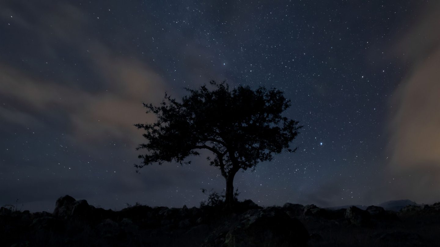 Dein Horoskop für Samstag, den 29. August 2026