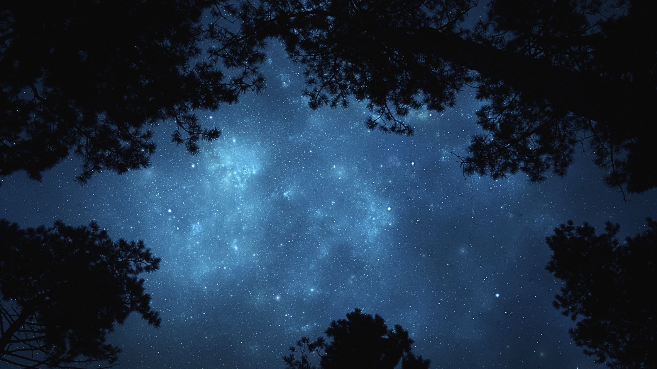 Dein Wochenhoroskop vom 31. August bis 6. September 2026