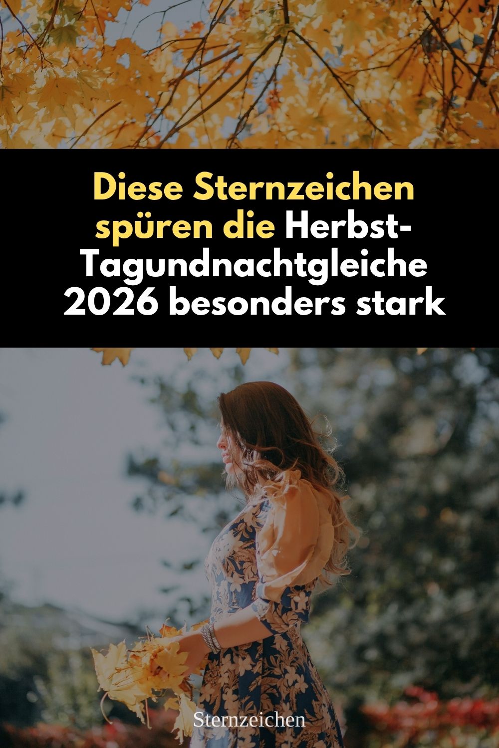 Herbst-Tagundnachtgleiche 2026, Sternzeichen Herbst-Tagundnachtgleiche, Horoskop September 2026, Tagundnachtgleiche 23. September 2026, Waage Saison 2026, Sternzeichen September 2026, Astrologie September 2026, Stier Horoskop September 2026, Löwe Horoskop September 2026, Jungfrau Horoskop September 2026, Skorpion Horoskop September 2026, Steinbock Horoskop September 2026, Herbst Horoskop 2026, Sternzeichen Balance, astrologische Ereignisse September 2026