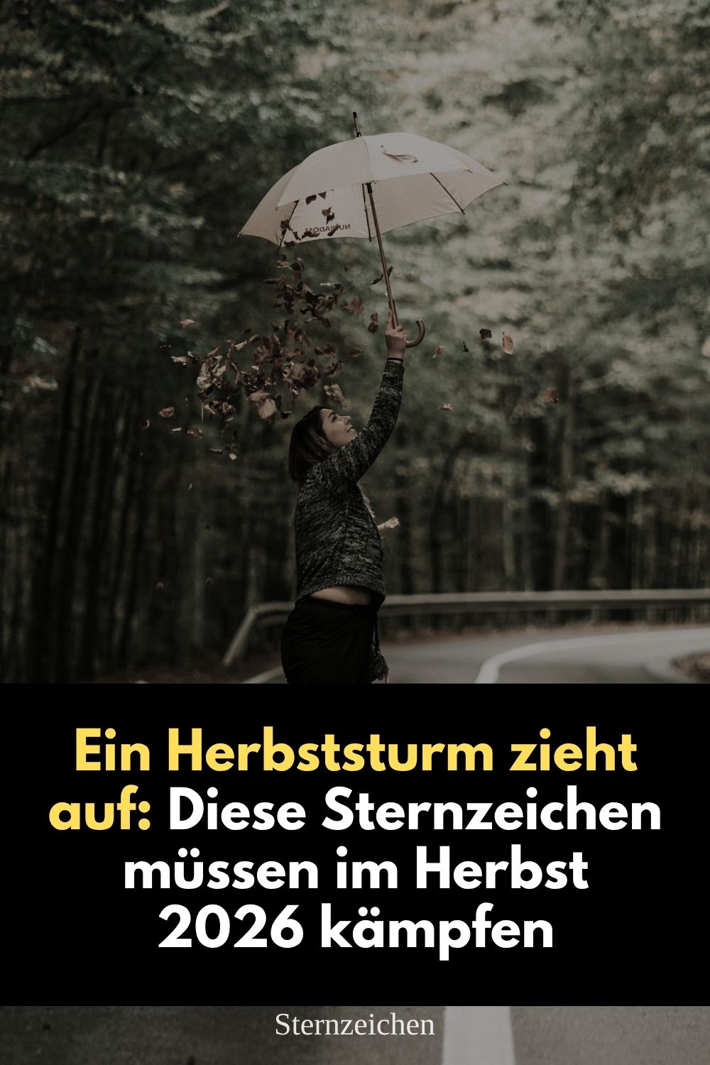 Herbst 2026 Sternzeichen, Horoskop Herbst 2026, Sternzeichen Herbst 2026, schwieriger Herbst 2026, Astrologie Herbst 2026, Horoskop 2026, Widder Herbst 2026, Stier Herbst 2026, Krebs Herbst 2026, Steinbock Herbst 2026, Sternzeichen schwierige Phase, astrologische Vorhersage Herbst 2026, Herbsthoroskop 2026, Sternzeichen Herausforderungen 2026