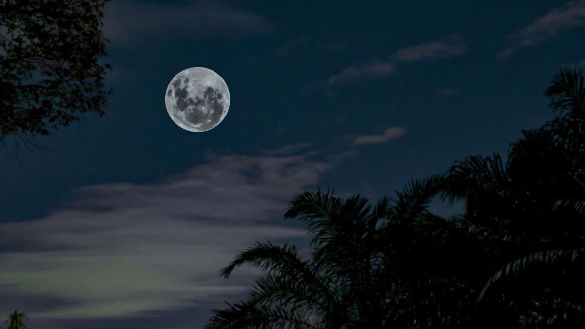 Vollmond in den Fischen im August 2026: Diese Sternzeichen können endlich loslassen