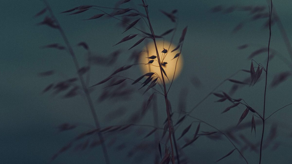 Vollmond im September 2026: Für dieses Sternzeichen beginnt eine glückliche Phase, die lange nachwirkt