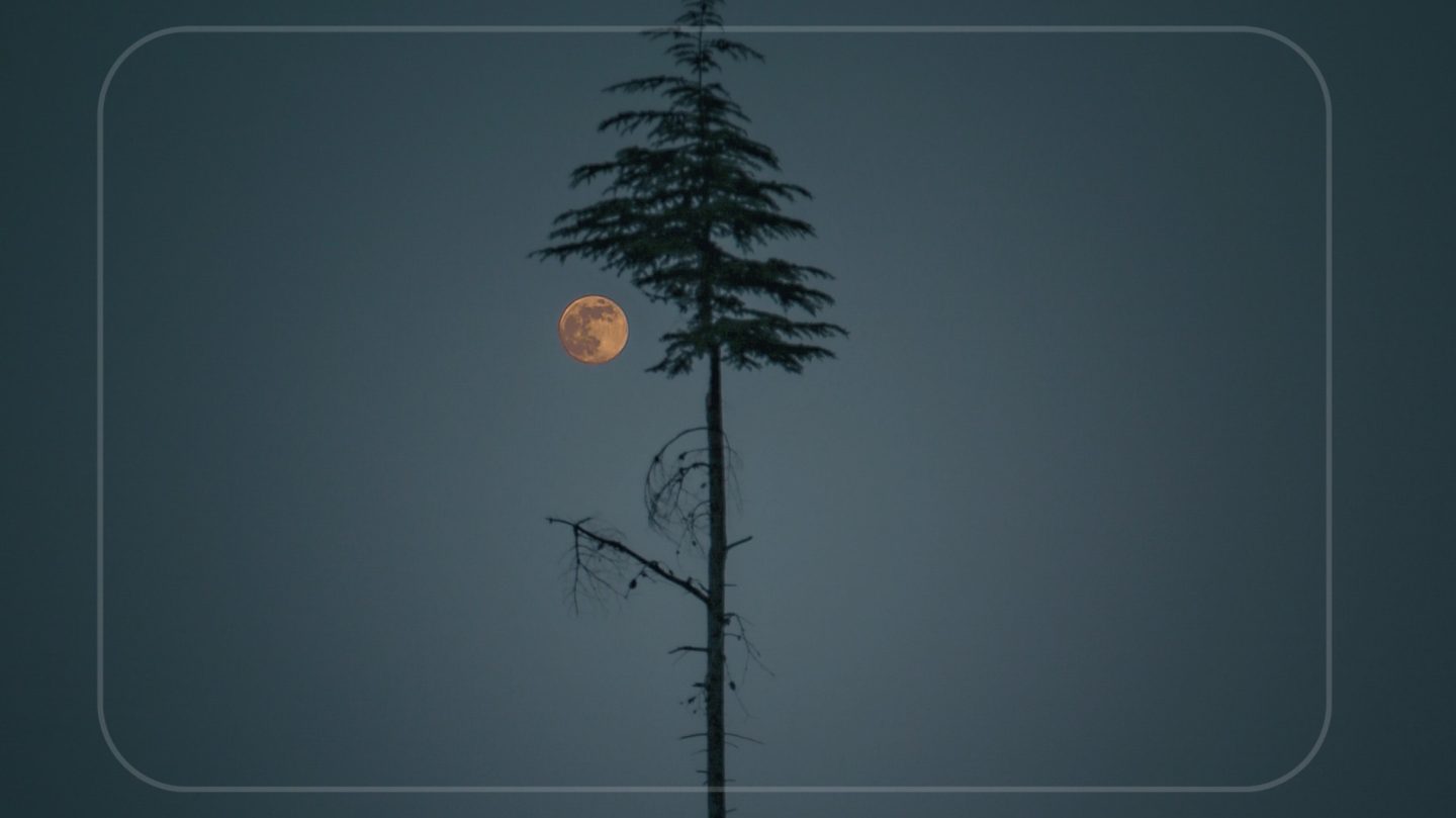 Dein Horoskop für Mittwoch, den 4. November 2026