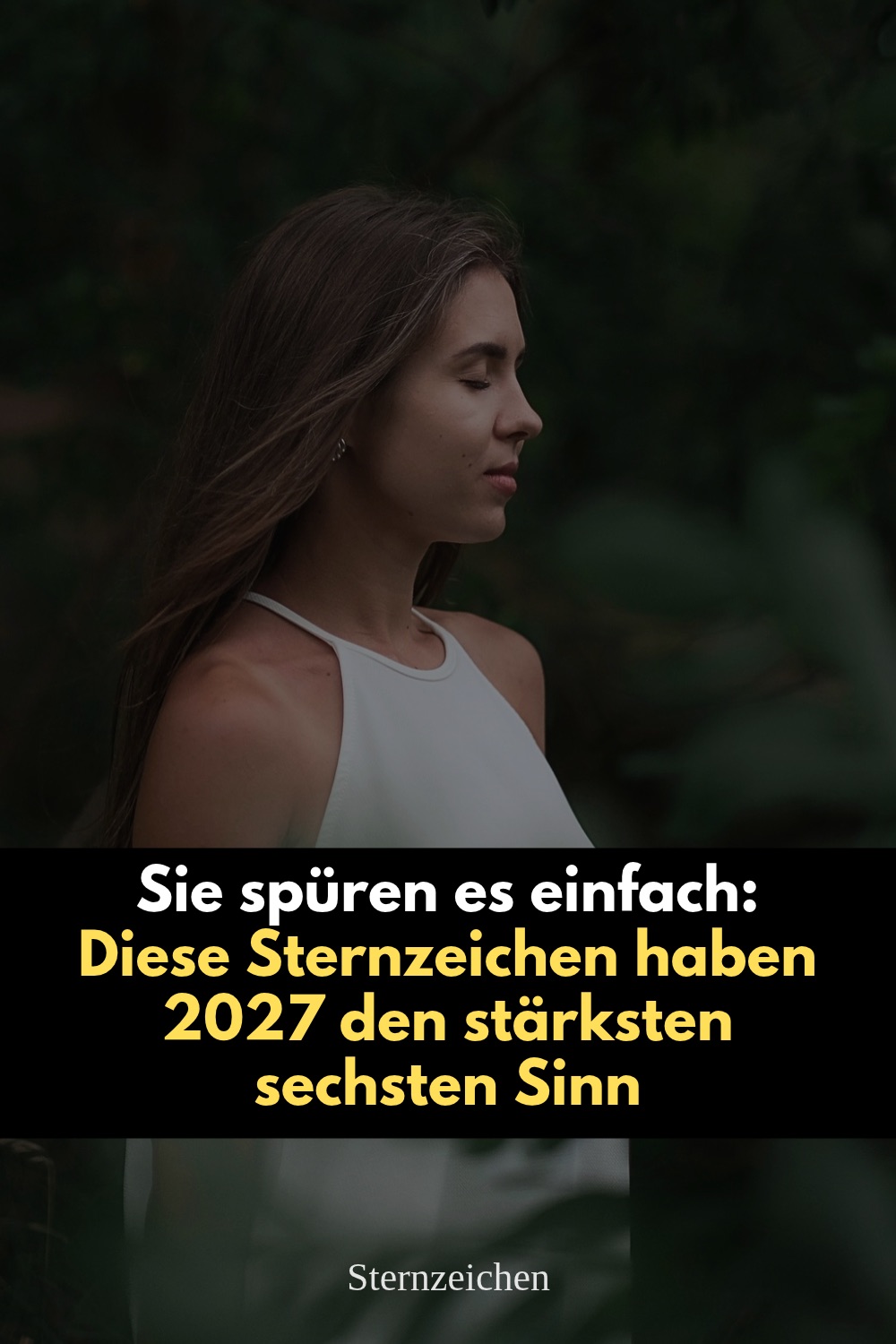 Horoskop 2027, Sternzeichen mit sechstem Sinn, intuitive Sternzeichen, stärkste Intuition Sternzeichen, sechster Sinn Astrologie, spirituelle Fähigkeiten Sternzeichen, Fische Horoskop 2027, Skorpion Horoskop 2027, Zwillinge Horoskop 2027, Wassermann Horoskop 2027, Stier Horoskop 2027, Bauchgefühl, innere Stimme, spirituelles Horoskop, astrologische Intuition