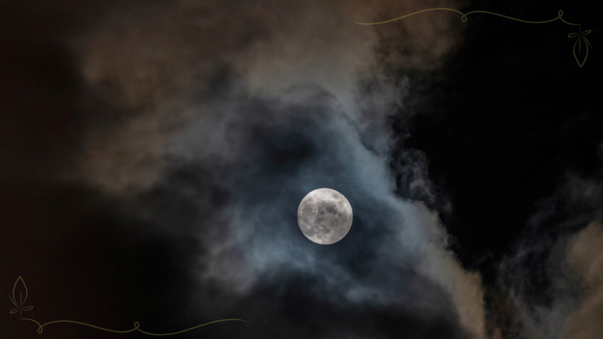 November-Vollmond 2026: Diese Sternzeichen starten in eine besonders schöne Phase