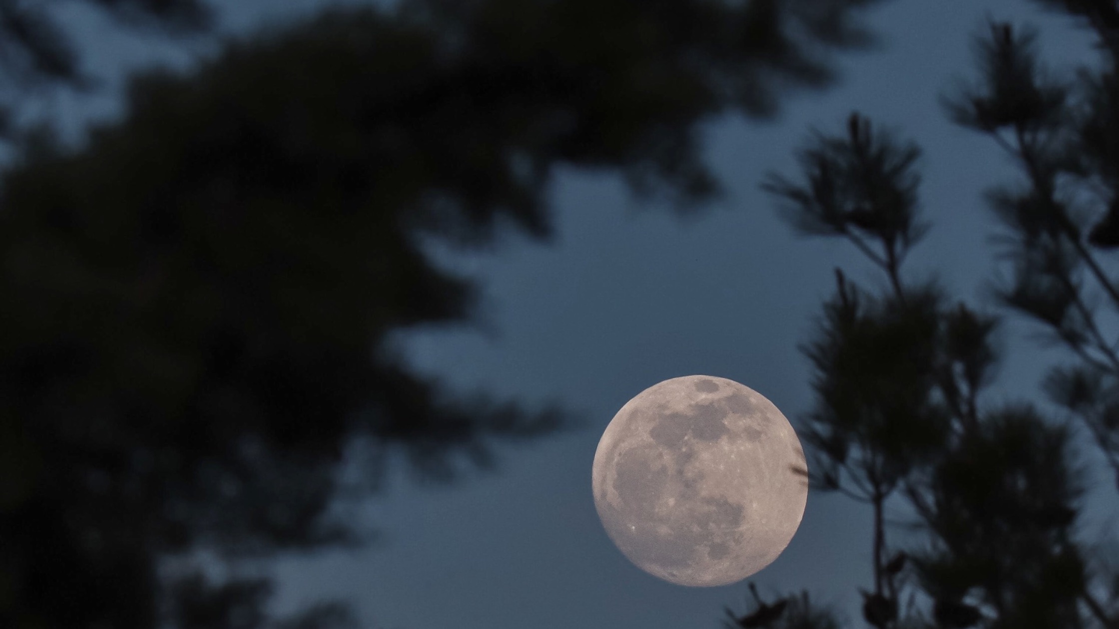 Vollmond im November 2026: Diese Sternzeichen lassen eine Belastung endgültig hinter sich